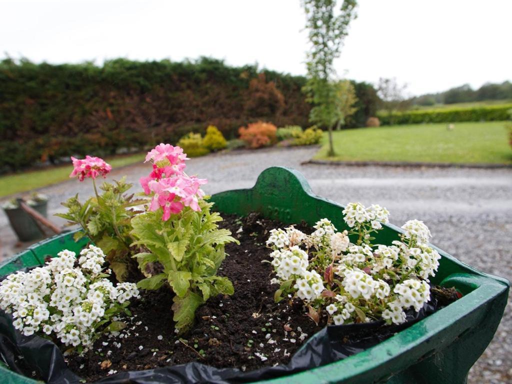 Dun Cromain B&B Banagher Exterior foto